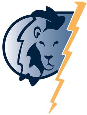 AJ Leo Electric