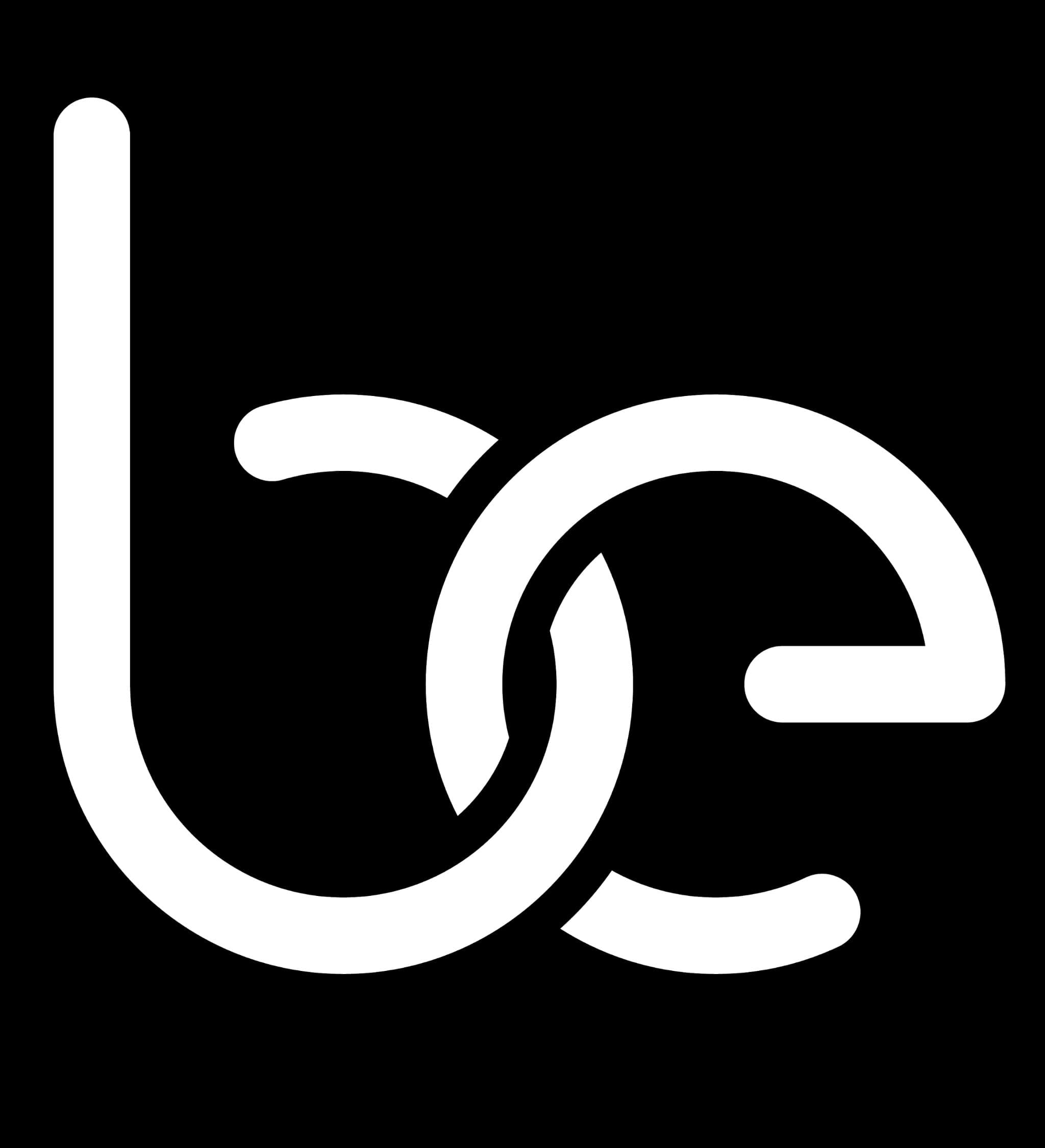 Boundless Inc