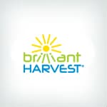 Brilliant Harvest