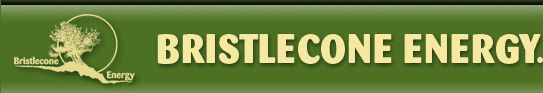 Bristlecone Energy