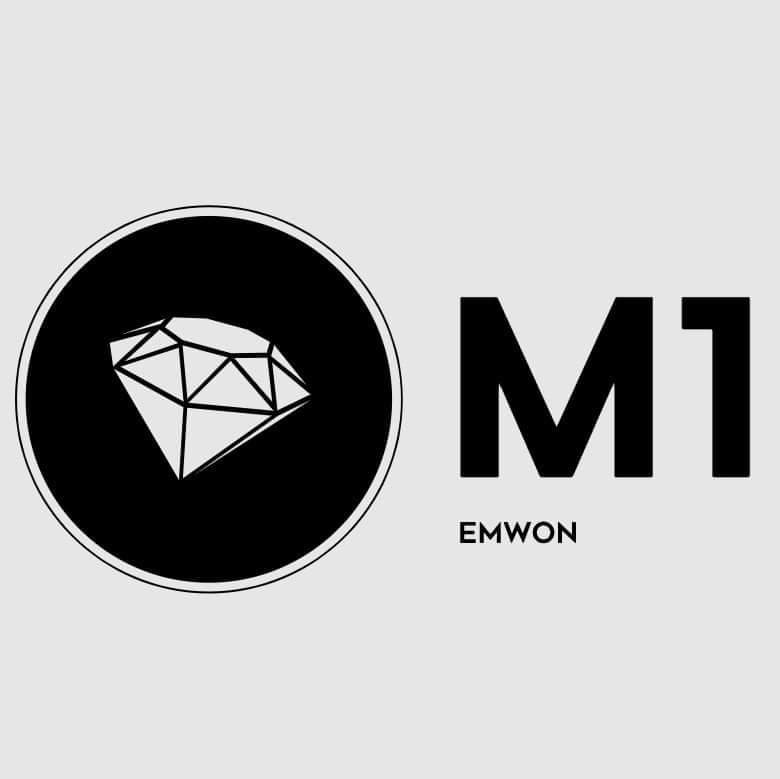 Emwon Productions LLC