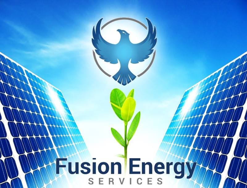 Fusion Energy Services, LLC