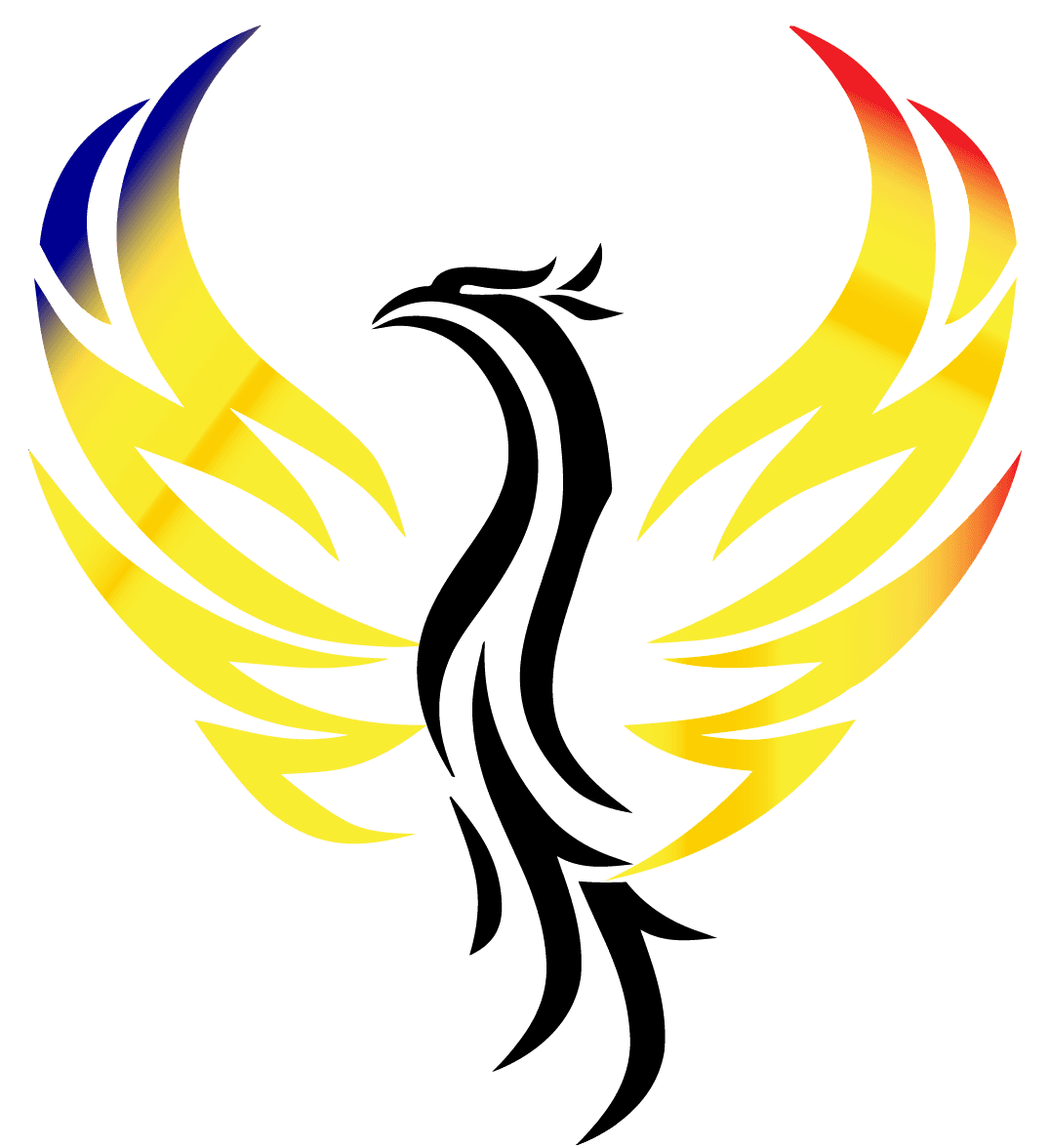 EnergyPal SkyCap Solar solar installer