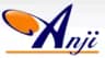 ANJI Technology 