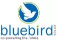 Bluebird