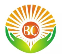 BQ Solartech 