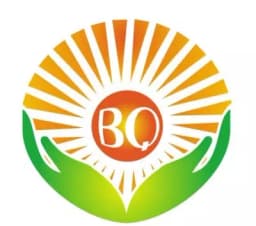 BQ Solartech 