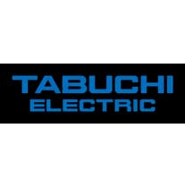 Tabuchi Electric America