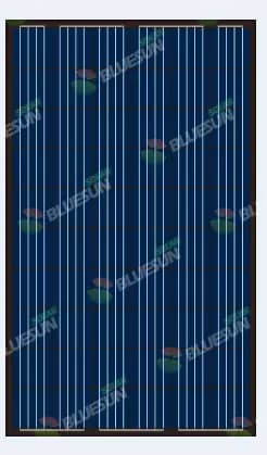 EnergyPal Bluesun Solar Panels BSM275-295P-60 BSM295P-60