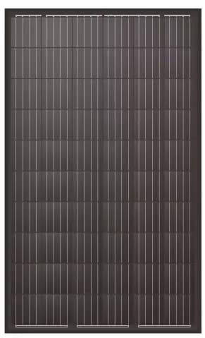 EnergyPal Selfa GE  Solar Panels DH-60M Black DH-60M-295