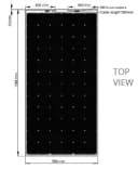 LPP360
