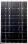 mono 200w