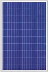 EnergyPal MicroSun Solar Tech  Solar Panels MS12125 MS12125