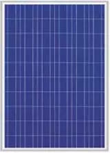 EnergyPal MicroSun Solar Tech  Solar Panels MS12250 MS12250