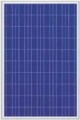 EnergyPal MicroSun Solar Tech  Solar Panels MS1230 MS1230