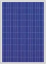 EnergyPal MicroSun Solar Tech  Solar Panels MS1250 MS1250
