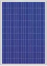 EnergyPal MicroSun Solar Tech  Solar Panels MS24250 MS24250