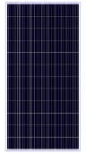 ODA315-36-P