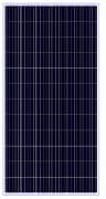 ODA360-36-P