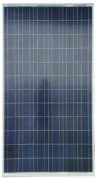 poly 200w