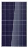 poly 300w