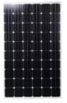 SSSP-260