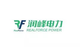 Realforce Power 