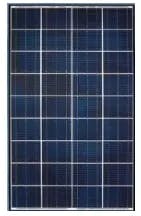 EnergyPal Aditi Solar Solar Panels Aditi 12V - 110WP 12V - 110WP