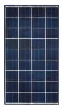 EnergyPal Aditi Solar Solar Panels Aditi 12V - 125WP 12V - 125WP