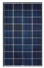 EnergyPal Aditi Solar Solar Panels Aditi 12V - 75WP 12V - 75WP