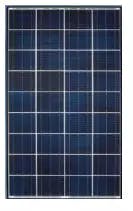 EnergyPal Aditi Solar Solar Panels Aditi 24V - 100WP 24V - 100WP