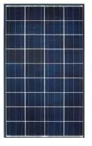 EnergyPal Aditi Solar Solar Panels Aditi 24V - 150WP 24V - 150WP