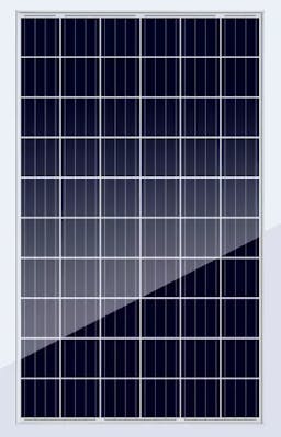 EnergyPal Bluesun Solar Panels BSM270-300P-60 BSM300P-60
