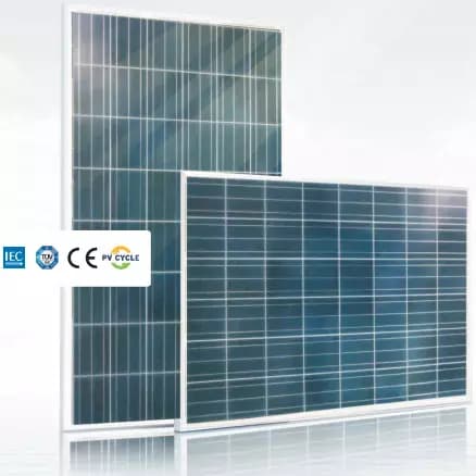 EnergyPal BYD Solar Panels BYD P6C-24 Series-3BB BYD 195P6C-24