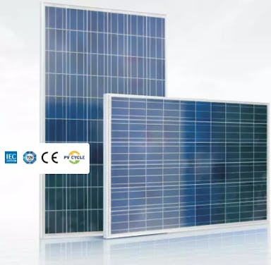 EnergyPal BYD Solar Panels BYD P6C-30 Series-3BB BYD 245P6C-30