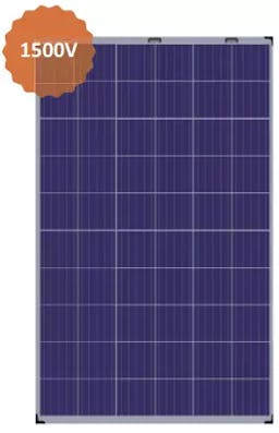 EnergyPal ReneSola Solar Panels DG Virtus II Poly 270-290 JC290M-24/Bgw