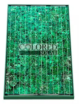 EnergyPal Colored Solar Solar Panels Emerald Green 235W Emerald Green 235W