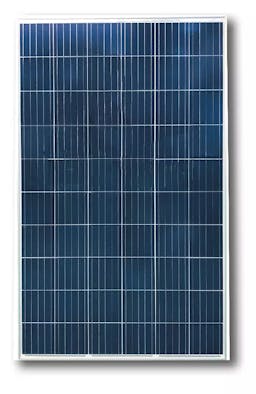 EnergyPal Sunflower Light Solar Panels FY270-285-20/Wd Poly FY270-20/Wd