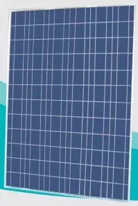 EnergyPal Kingdom Solar Solar Panels KD -P300-330 KD-P320