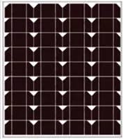 EnergyPal Dongping Tai Energy  Solar Panels Mono 40 Mono 40