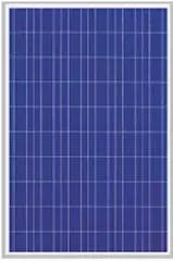 EnergyPal MicroSun Solar Tech  Solar Panels MS12100 MS12100