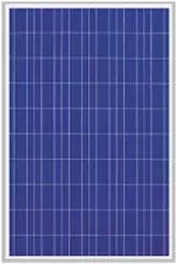 EnergyPal MicroSun Solar Tech  Solar Panels MS12125 MS12125