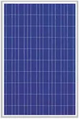 EnergyPal MicroSun Solar Tech  Solar Panels MS12150 MS12150
