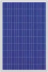 EnergyPal MicroSun Solar Tech  Solar Panels MS1245 MS1245