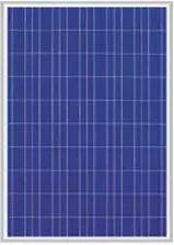 EnergyPal MicroSun Solar Tech  Solar Panels MS24250 MS24250