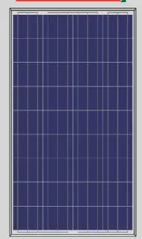 EnergyPal Fortune CP Solar Panels P6-120-125 P6-125