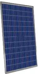 EnergyPal Novergy Energy Solutions Solar Panels PCAL Series (72 Cells) 300-350 PCAL 315