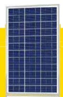 EnergyPal Daily Energy  Solar Panels Poly 20W DS-20P6-36