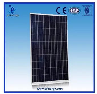 EnergyPal Pvinergy Technologies  Solar Panels Poly 250W 156*156 PV250P