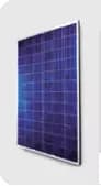 EnergyPal CNBM International Solar Panels Poly 310-335 P315